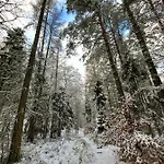 Jaskowe Wzgorze Na Wynajem Szymbark, Balia, Nr 2 I 3 Villa Szymbark (Pomerania)