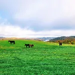 Jaskowe Wzgorze Na Wynajem Szymbark, Balia, Nr 2 I 3 *
