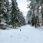 Villa Jaskowe Wzgorze Na Wynajem Szymbark, Balia, Nr 2 I 3 Szymbark (Pomerania)