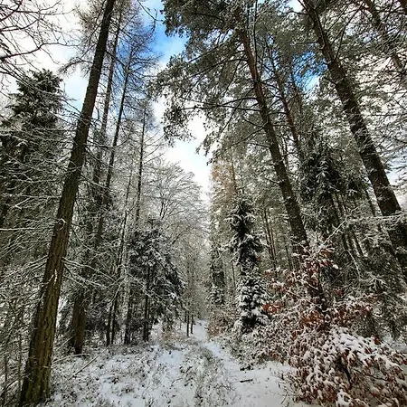 Jaskowe Wzgorze Na Wynajem Szymbark, Balia, Nr 2 I 3 别墅 兹姆巴克