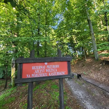 Jaskowe Wzgorze Na Wynajem Szymbark, Balia, Nr 2 I 3 Villa
