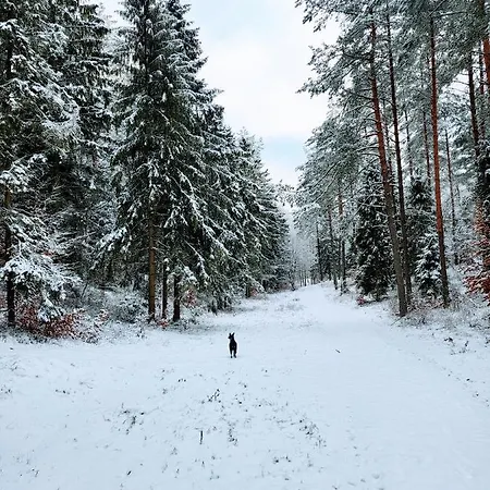 Villa Jaskowe Wzgorze Na Wynajem Szymbark, Balia, Nr 2 I 3 Szymbark (Pomerania)