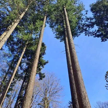 Jaskowe Wzgorze Na Wynajem Szymbark, Balia, Nr 2 I 3 *