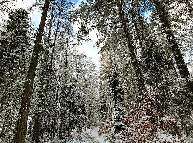 Jaskowe Wzgorze Na Wynajem Szymbark, Balia, Nr 2 I 3 Villa Szymbark (Pomerania)