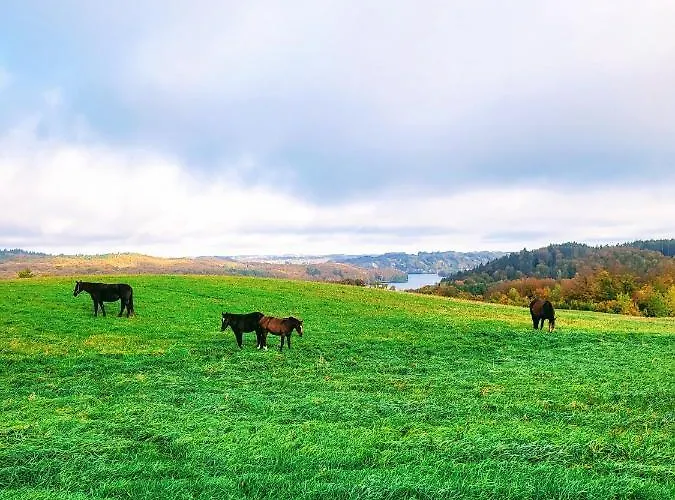 Jaskowe Wzgorze Na Wynajem Szymbark, Balia, Nr 2 I 3 *