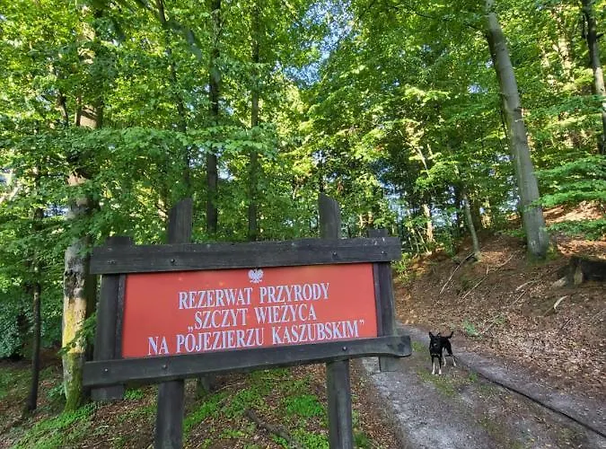 Jaskowe Wzgorze Na Wynajem Szymbark, Balia, Nr 2 I 3 Villa