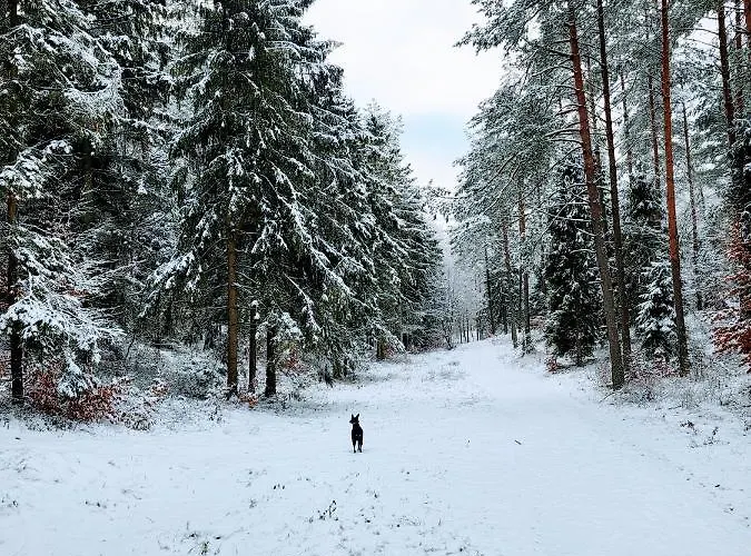 Villa Jaskowe Wzgorze Na Wynajem Szymbark, Balia, Nr 2 I 3 Szymbark (Pomerania)