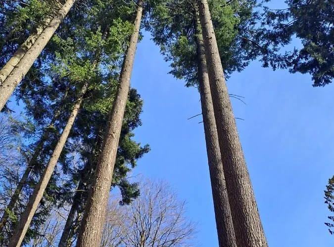 Jaskowe Wzgorze Na Wynajem Szymbark, Balia, Nr 2 I 3 *